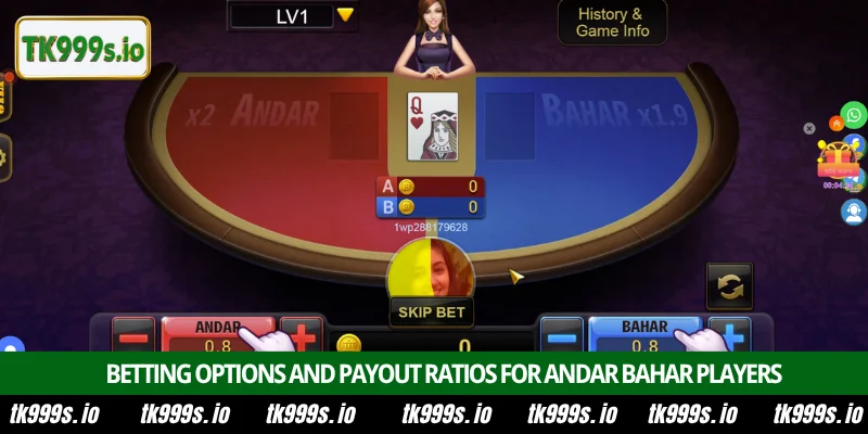 Play Andar Bahar at TK999 Poker lobby for big wins 3 Betting options and payout ratios for Andar Bahar players