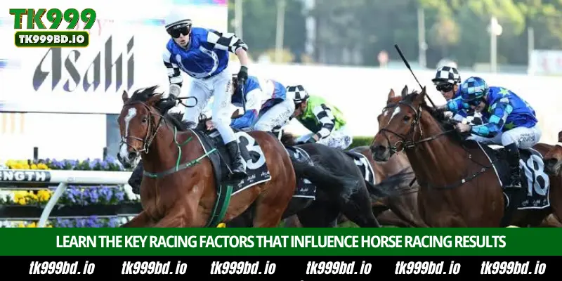 Horse Racing Betting – Complete Guide, Race Odds, Betting Markets and Winning Tips on TK999 1 Learn the Key Racing Factors That Influence Horse Racing Betting Results